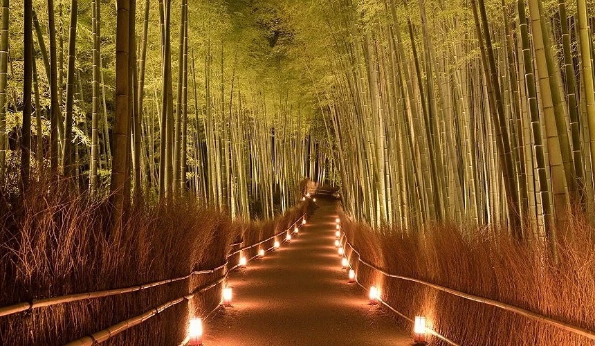 嵐山竹林小徑 | 去趣 chicTrip