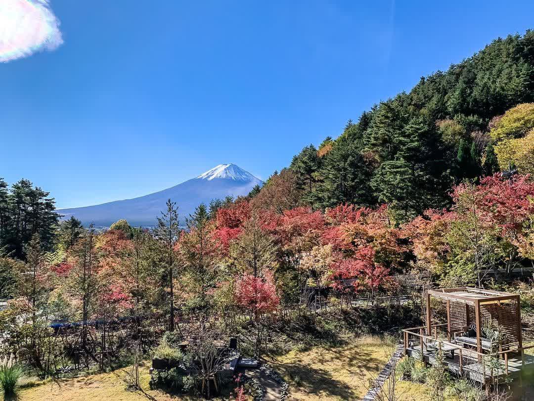 河口湖自然生活館 | 去趣 chicTrip