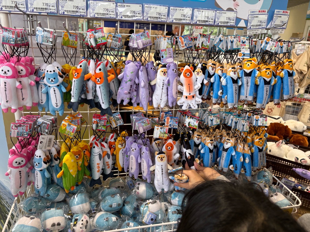 Goryōkaku Tower | 去趣 chicTrip