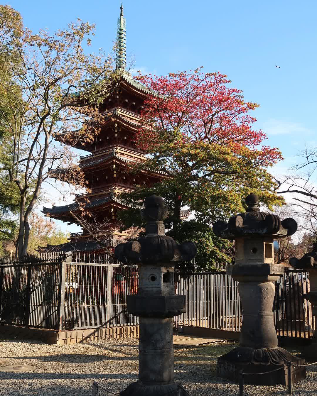 上野東照宮 | 去趣 chicTrip