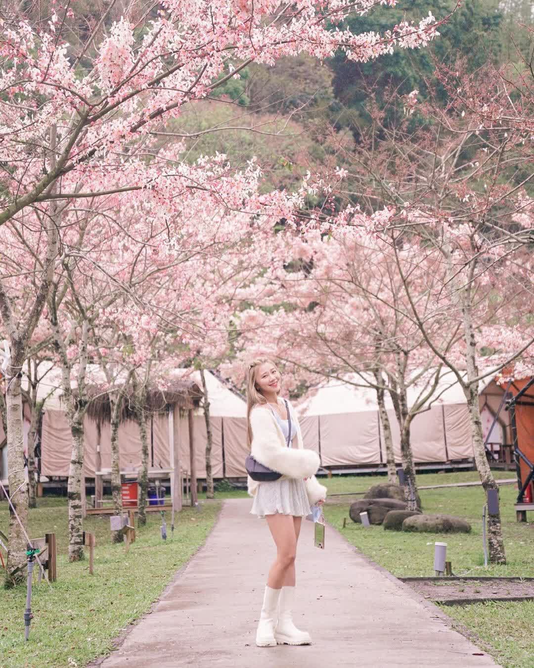 遠山望月溫泉風呂 露營區