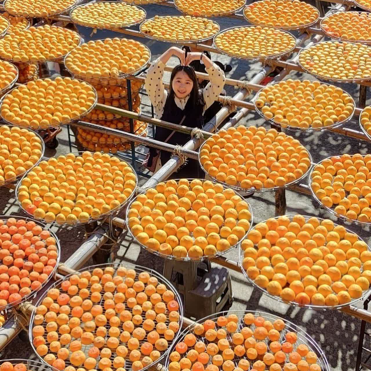 味衛佳柿餅教育農園 | 去趣 chicTrip