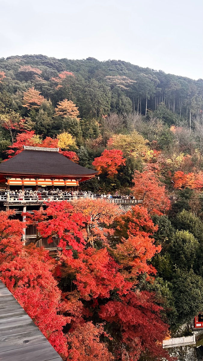 清水寺 | 去趣 chicTrip