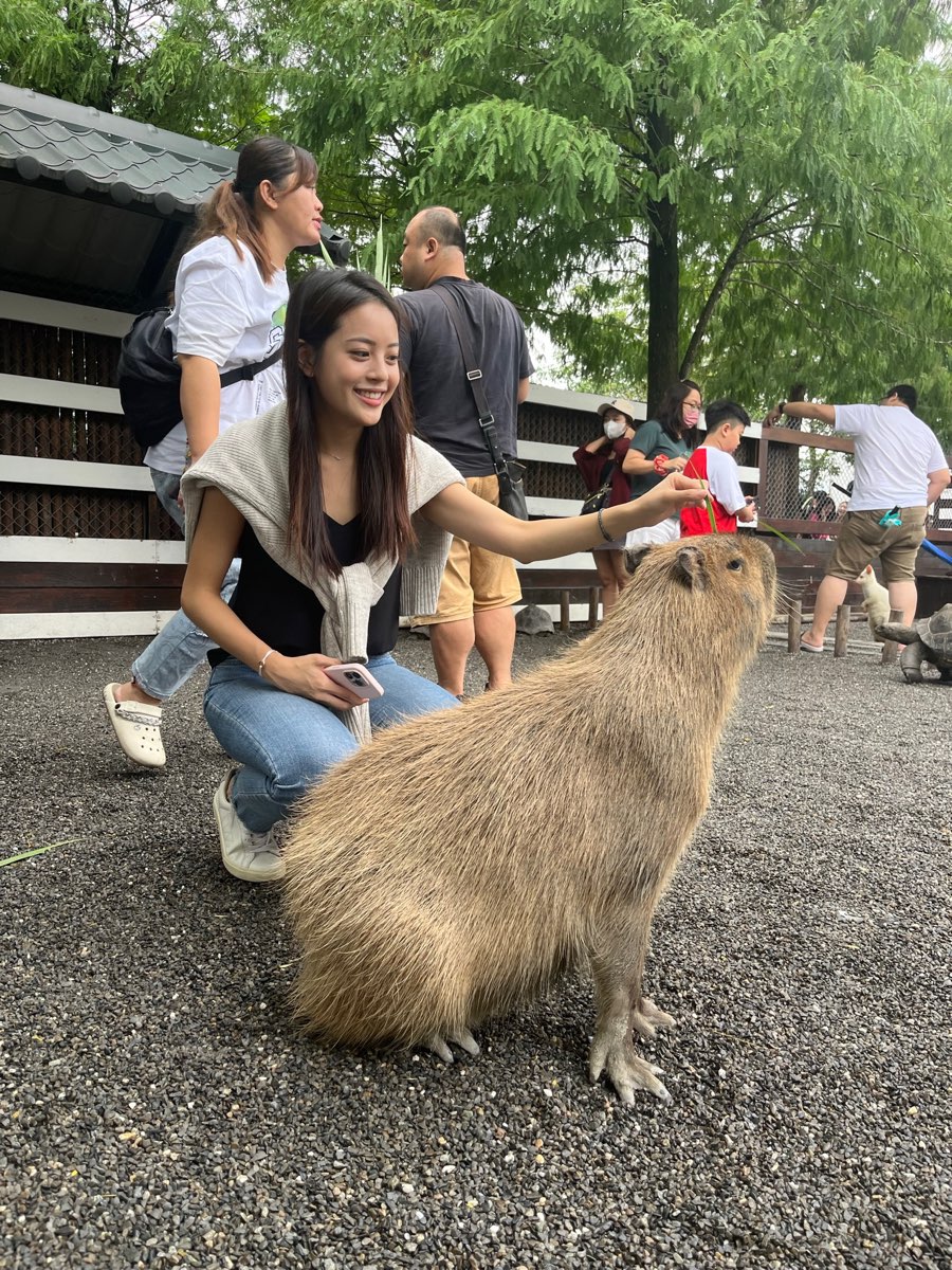 張美阿嬤農場（月森甯手作工坊） | 去趣 chicTrip