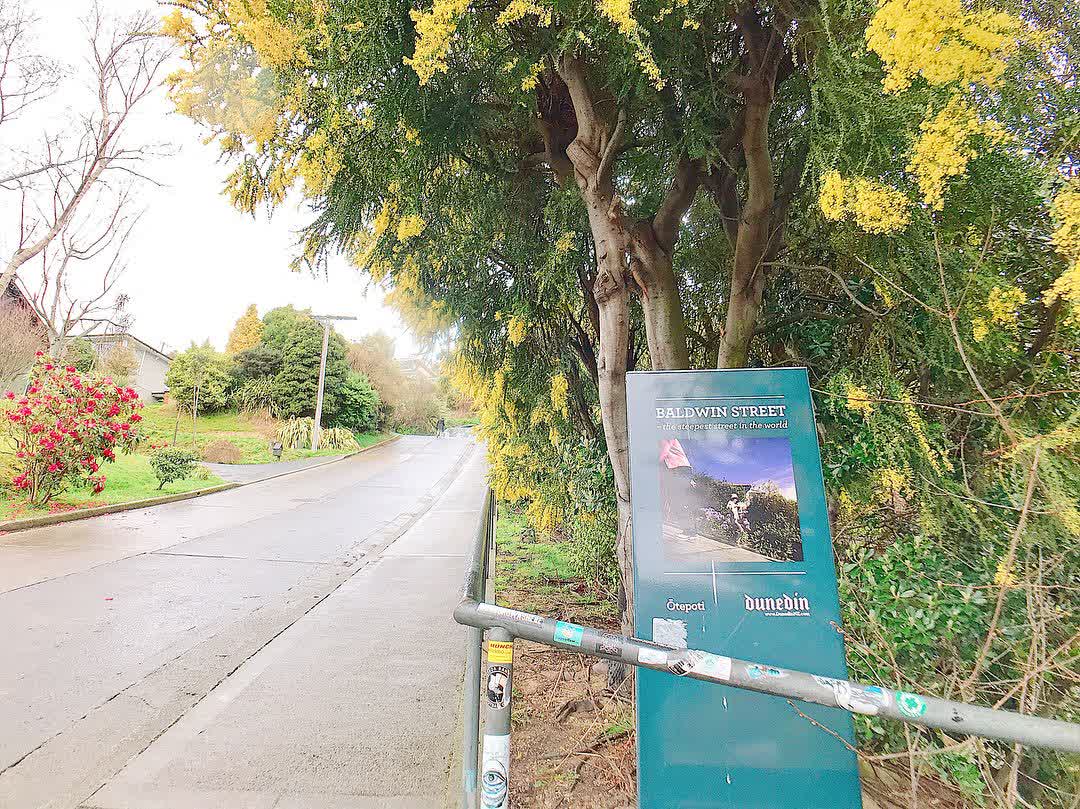Baldwin Street - The Steepest Street in the World | 去趣 chicTrip