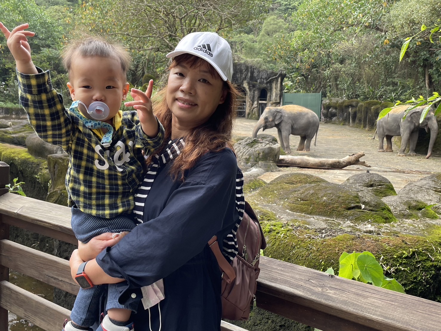 臺北市立動物園 | 去趣 chicTrip