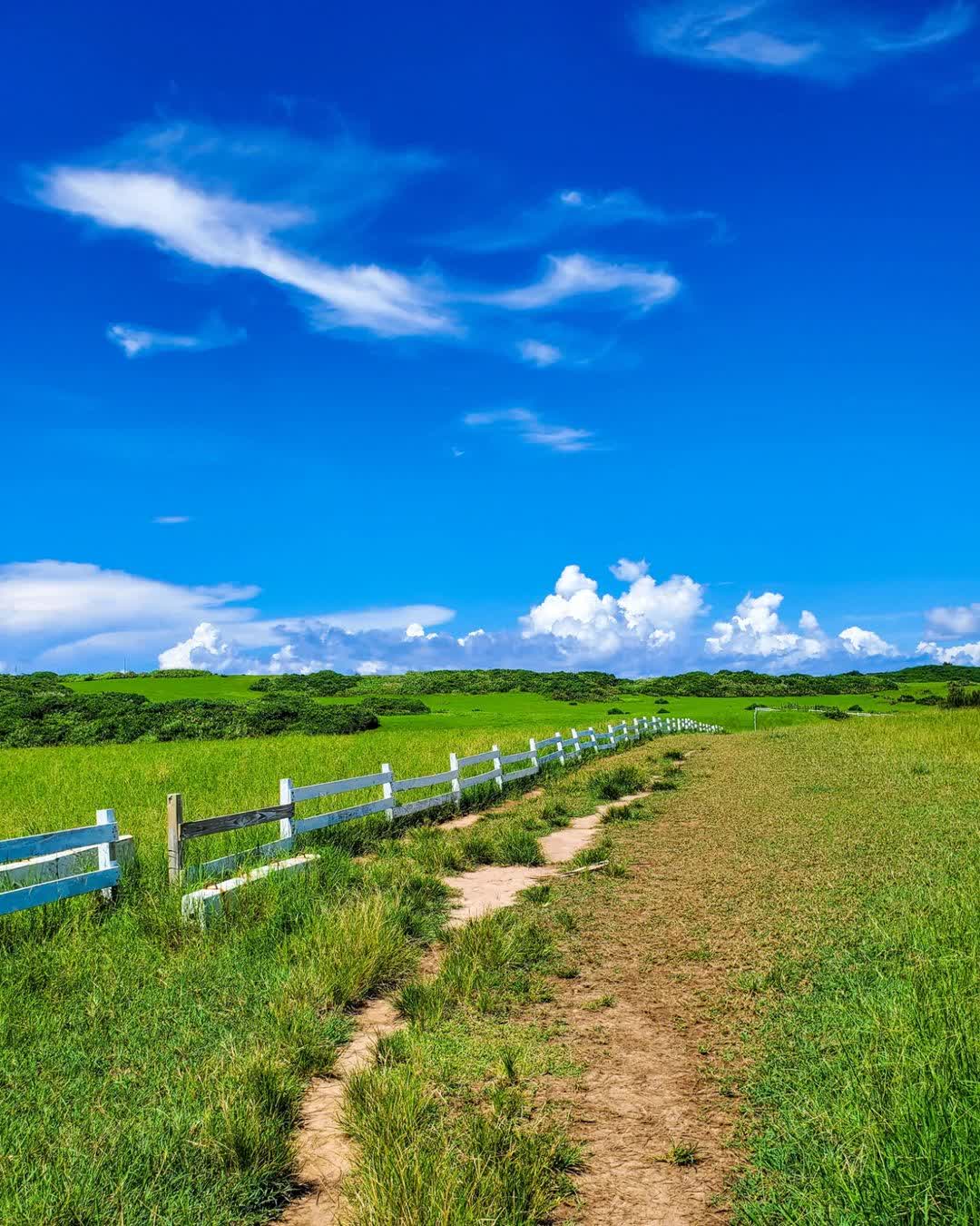 水蛙窟大草原 | 去趣 chicTrip