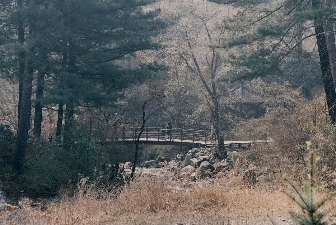 晨靜樹木園 | 去趣 chicTrip