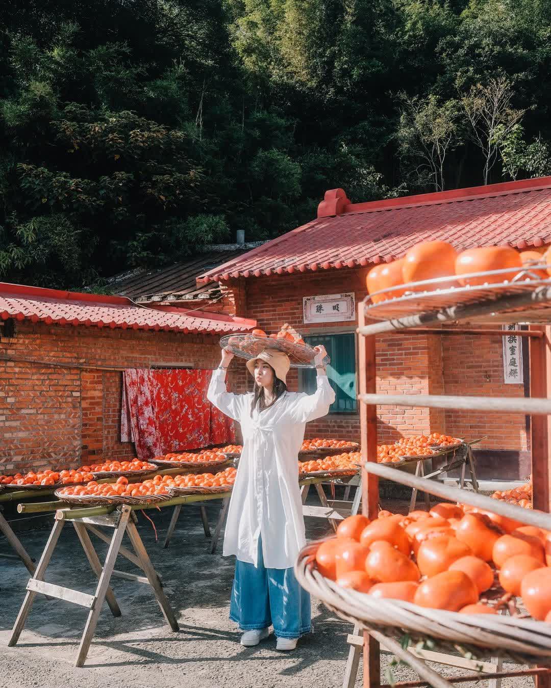 味衛佳柿餅教育農園 | 去趣 chicTrip