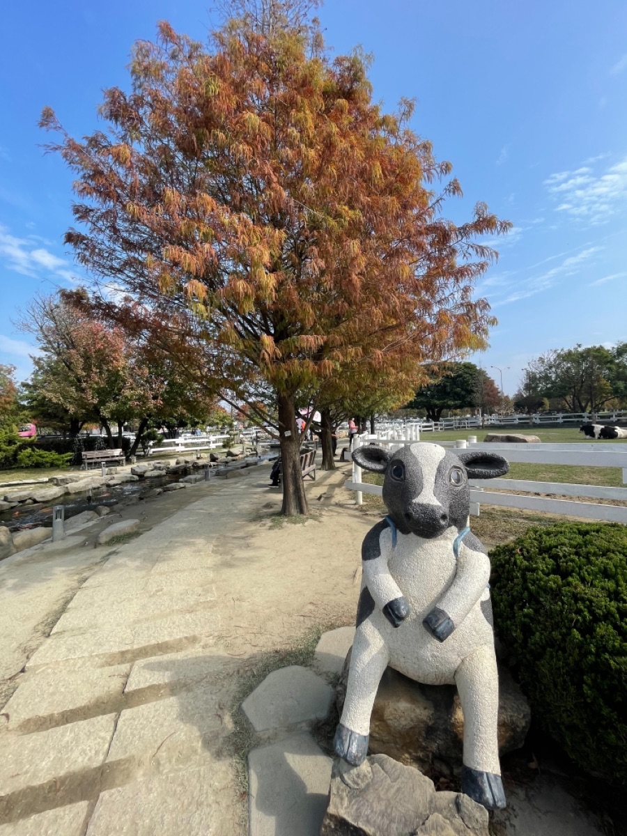 千巧谷牛樂園牧場 | 去趣 chicTrip