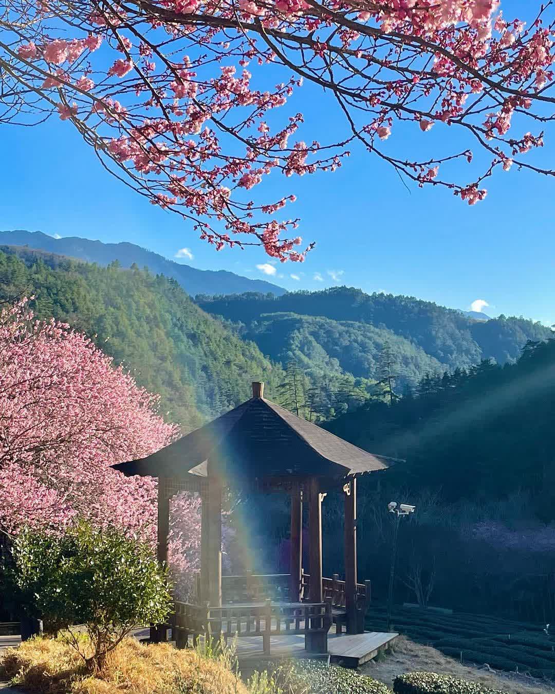 武陵農場 | 去趣 chicTrip