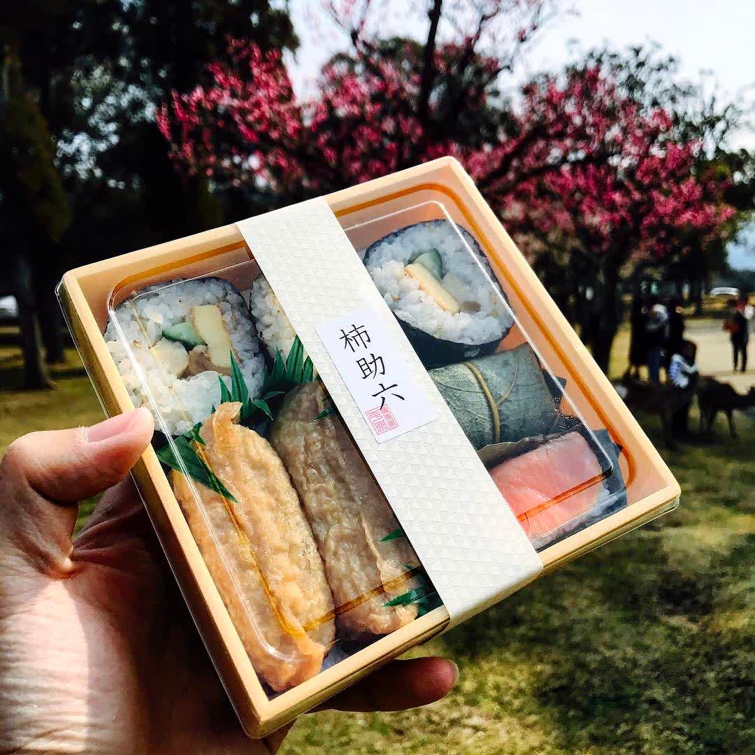 奈良公園 | 去趣 chicTrip