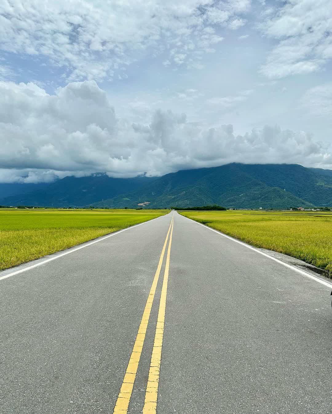 臺東池上錦新三號道路 伯朗大道 | 去趣 chicTrip