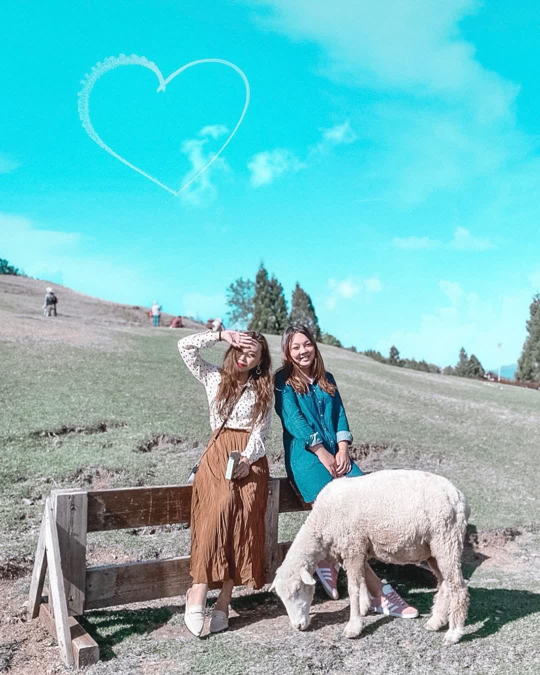 清境農場青青草原 | 去趣 chicTrip