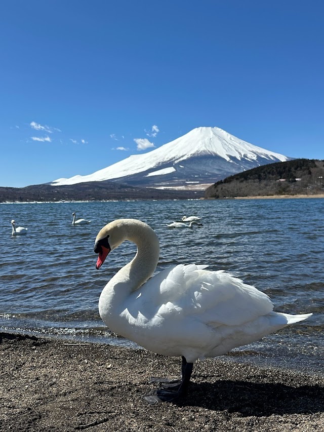 平野之濱 | 去趣 chicTrip