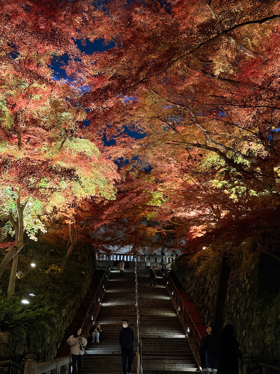 清水寺 | 去趣 chicTrip
