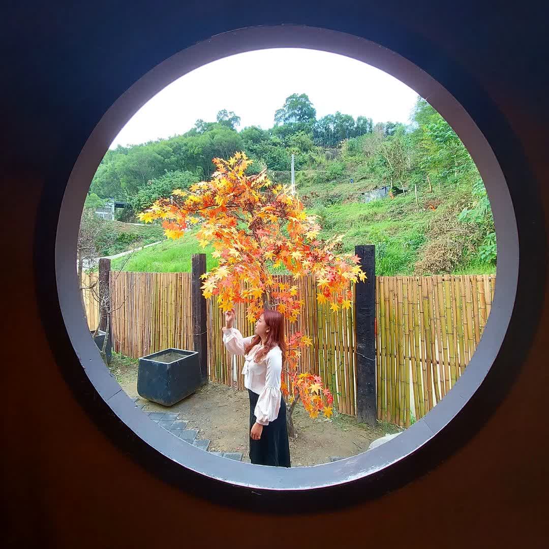 莫內秘密花園 | 去趣 chicTrip