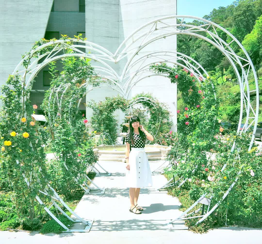 雅聞七里香玫瑰森林 | 去趣 chicTrip