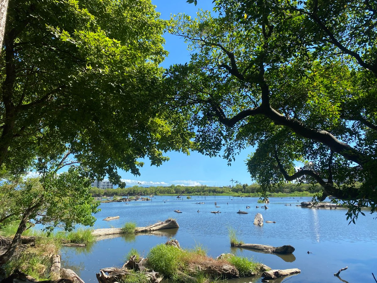 羅東林業文化園區 | 去趣 chicTrip