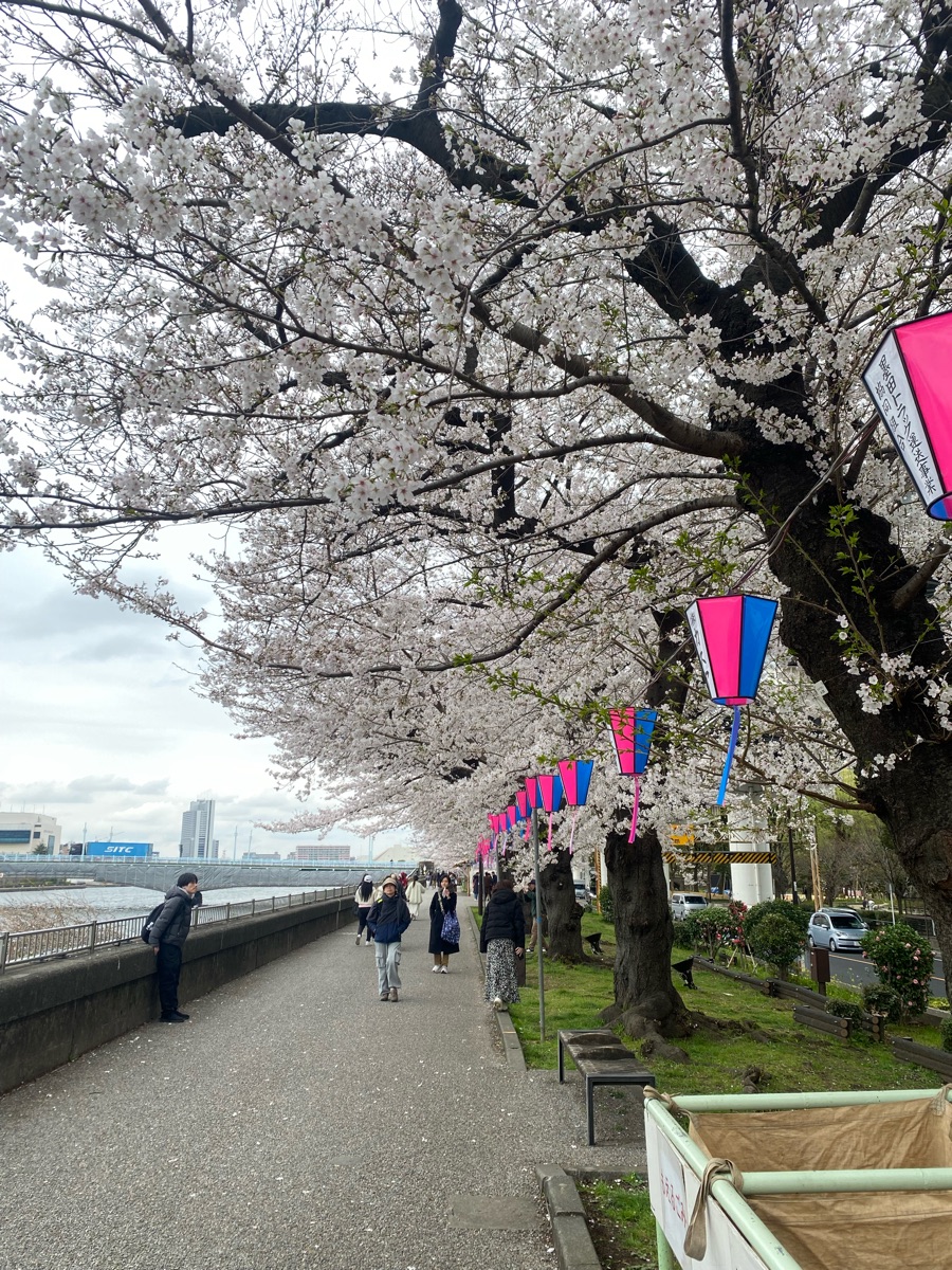 隅田公園 (淺草側) | 去趣 chicTrip