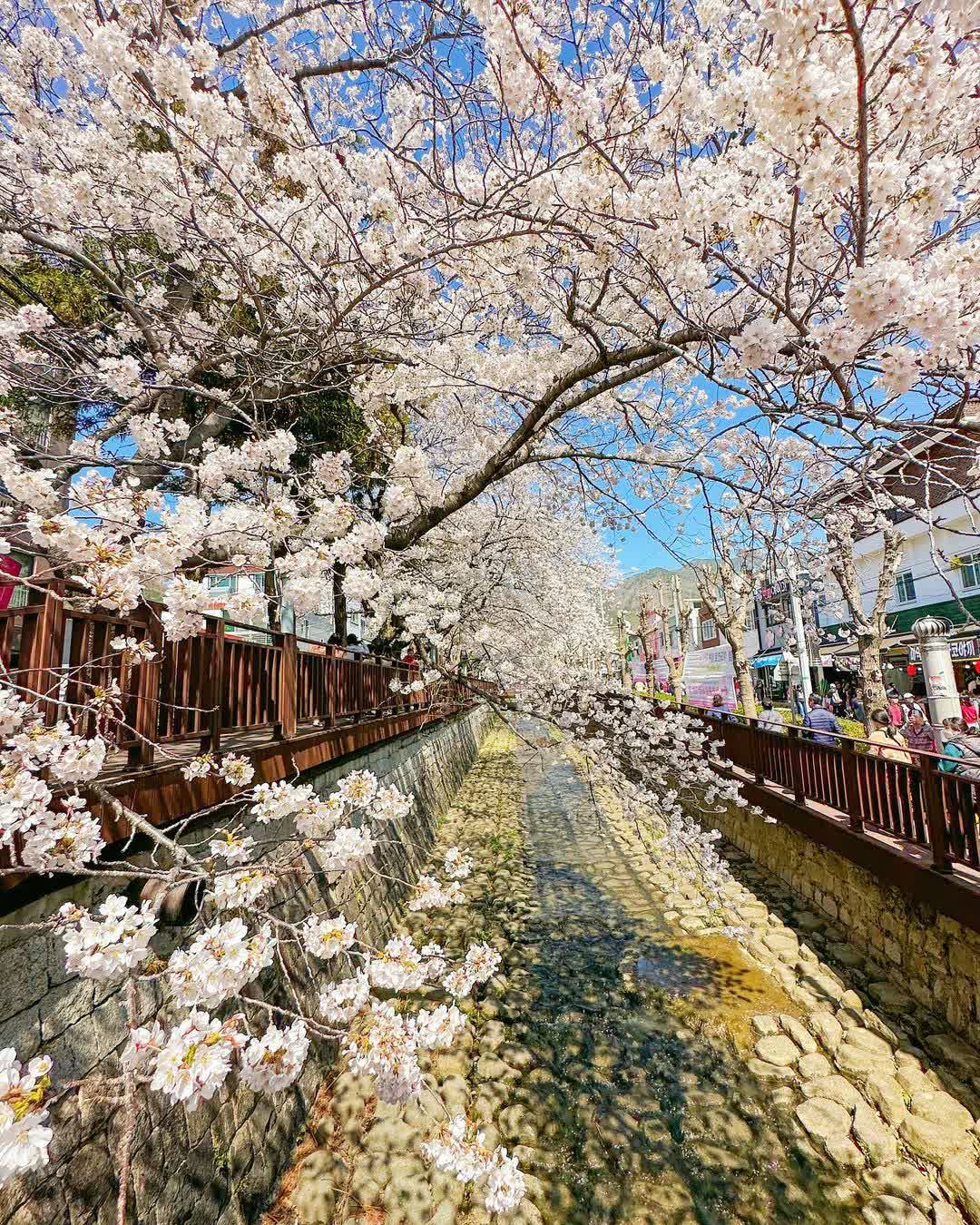 余佐川羅曼史橋 | 去趣 chicTrip