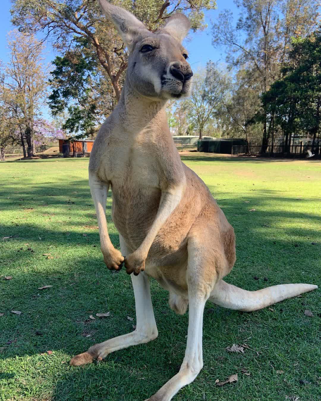 龍柏動物園 | 去趣 chicTrip