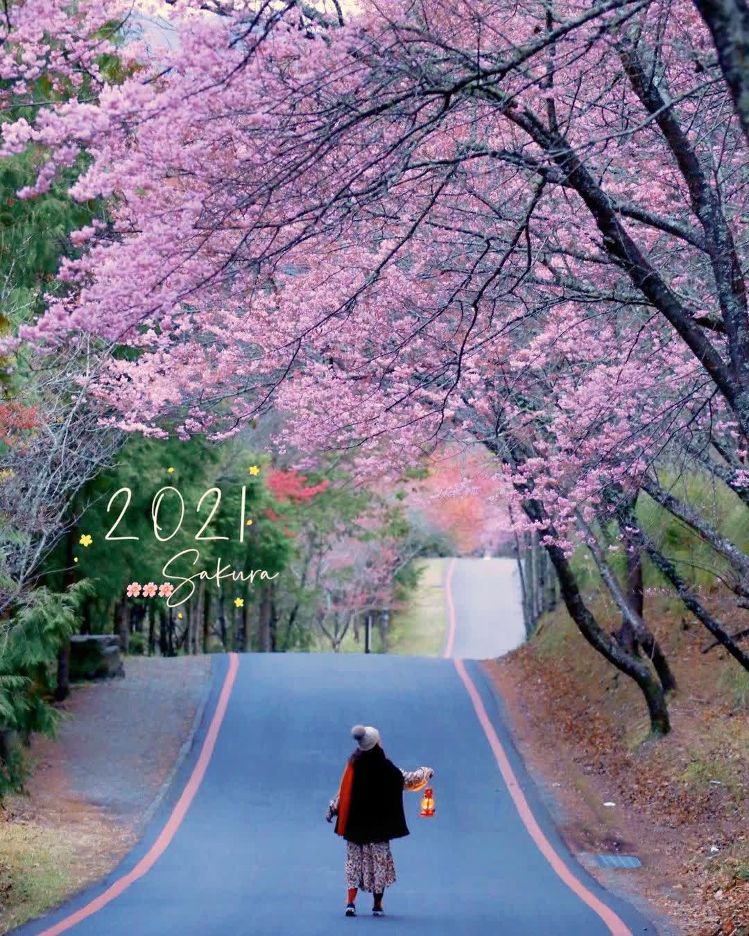 武陵農場 | 去趣 chicTrip