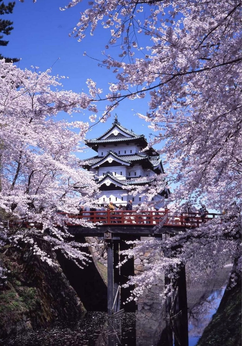 弘前公園 | 去趣 chicTrip