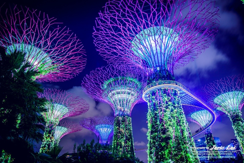 濱海灣花園 | 去趣 chicTrip