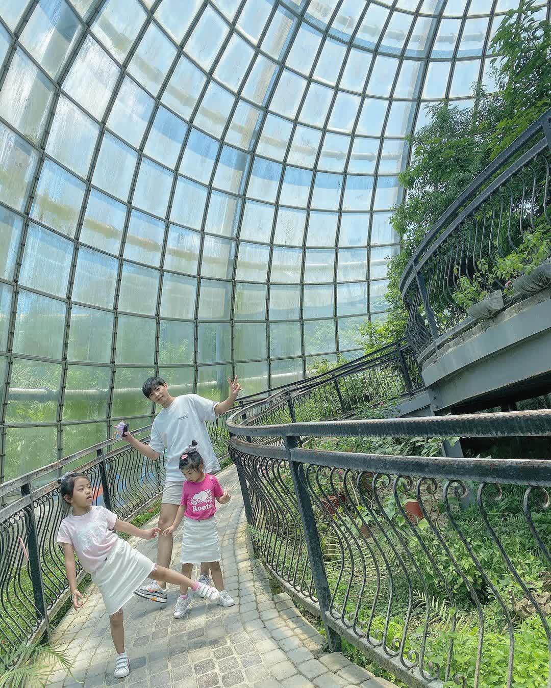 嘉大昆蟲館 | 去趣 chicTrip