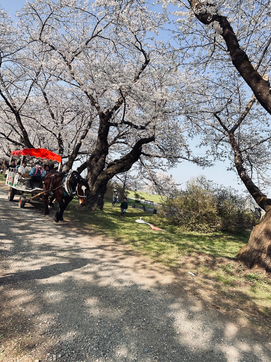 北上展勝地 | 去趣 chicTrip