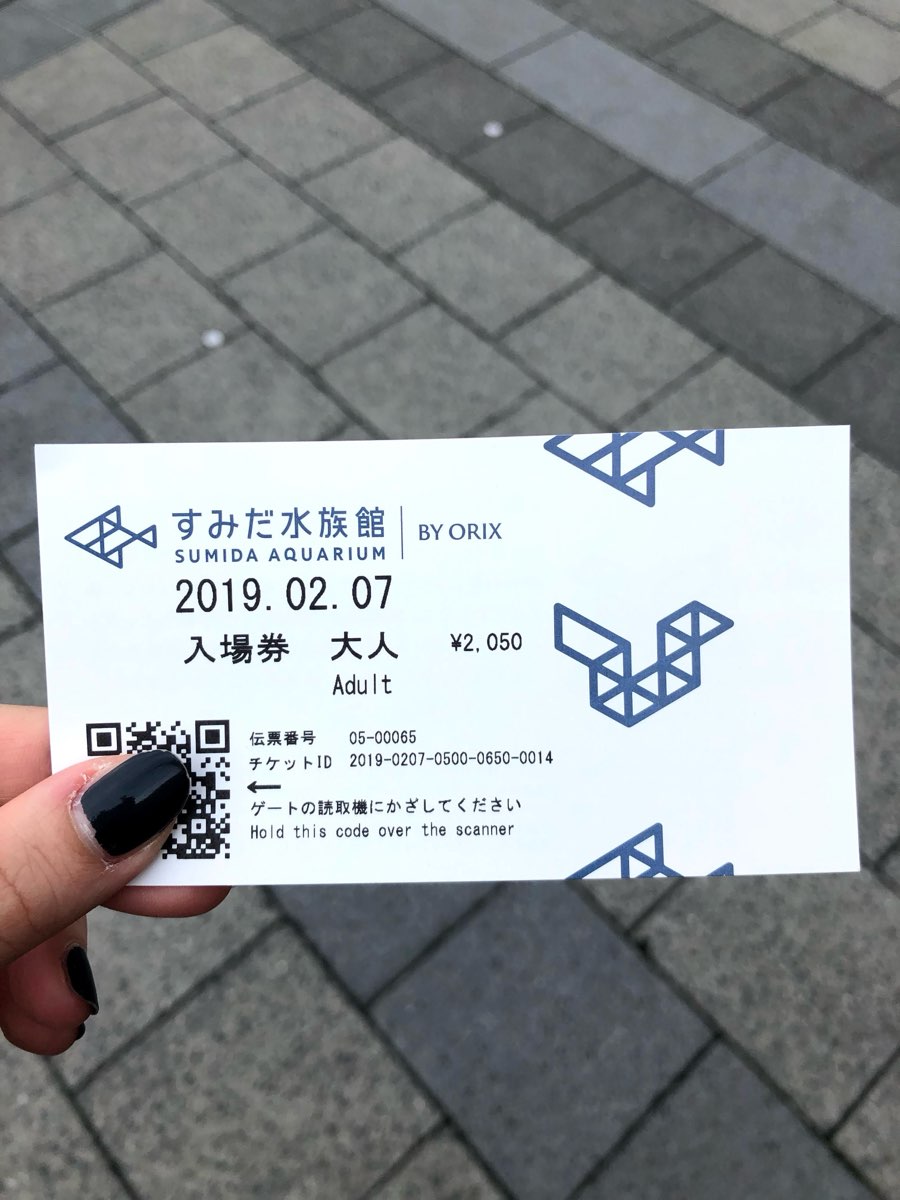 墨田水族館 | 去趣 chicTrip