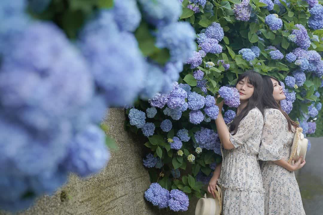 杉林溪森林生態渡假園區 | 去趣 chicTrip