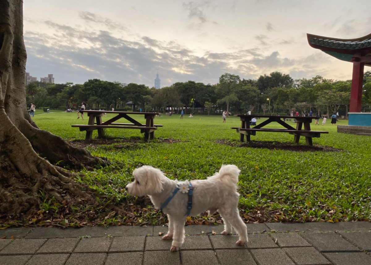 南港公園 | 去趣 chicTrip