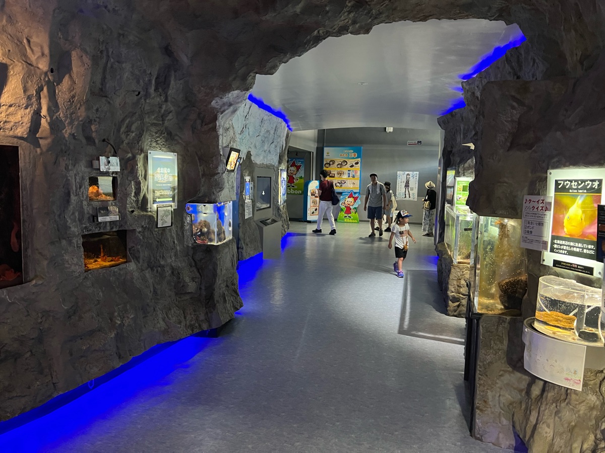 小樽水族館 | 去趣 chicTrip
