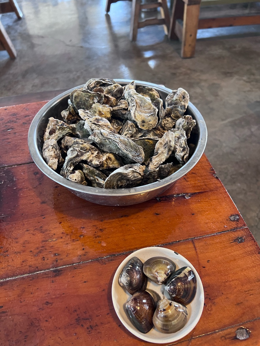 七股龍海號生態之旅（海寮碼頭） | 去趣 chicTrip