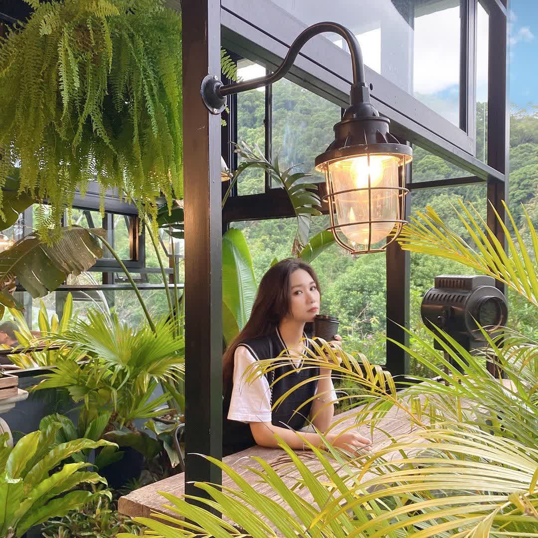 野人花園 ，無訂位服務！