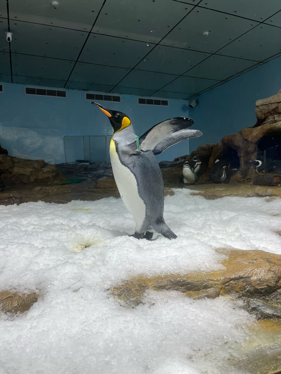 Xpark 水族館 | 去趣 chicTrip