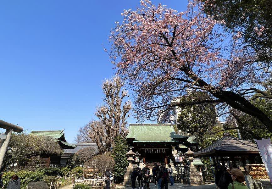 上野恩賜公園 | 去趣 chicTrip