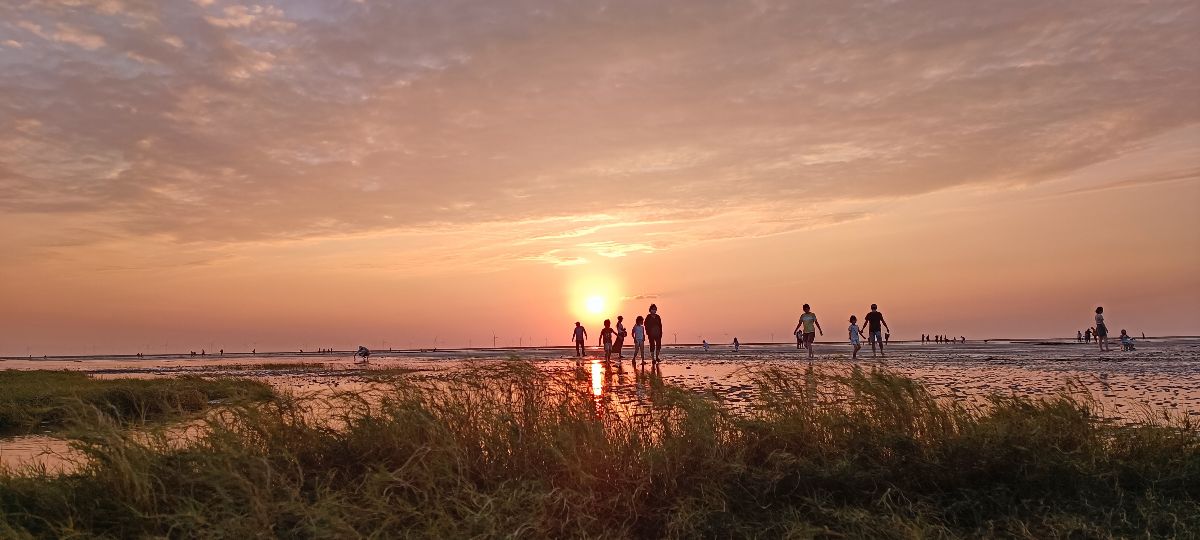 香山濕地賞蟹步道 | 去趣 chicTrip