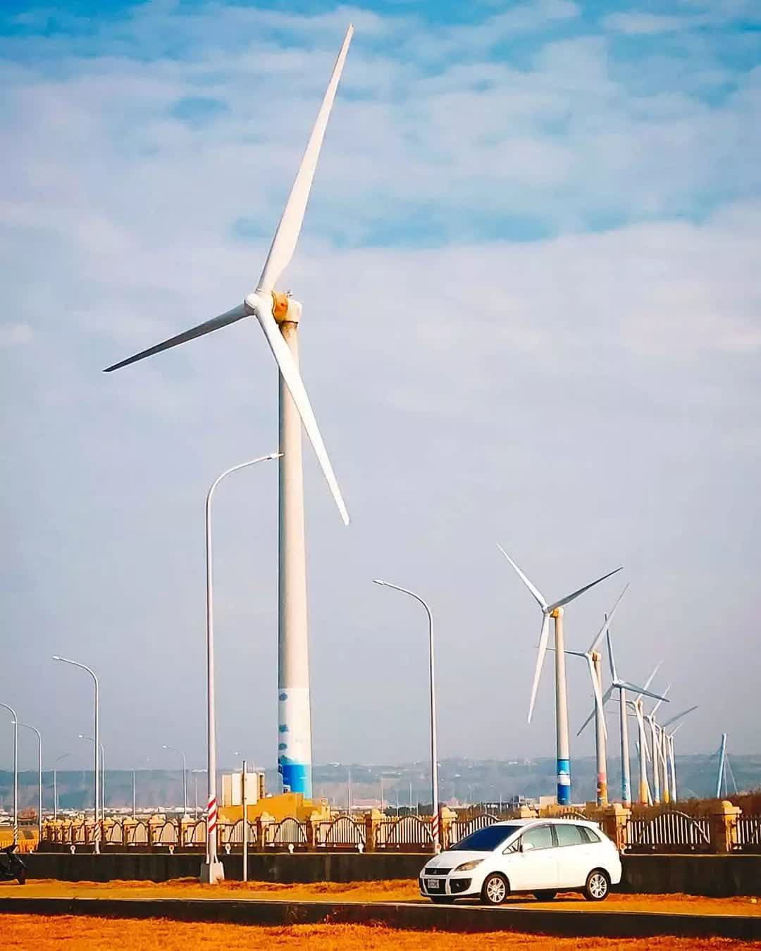 高美野生動物保護區 | 去趣 chicTrip