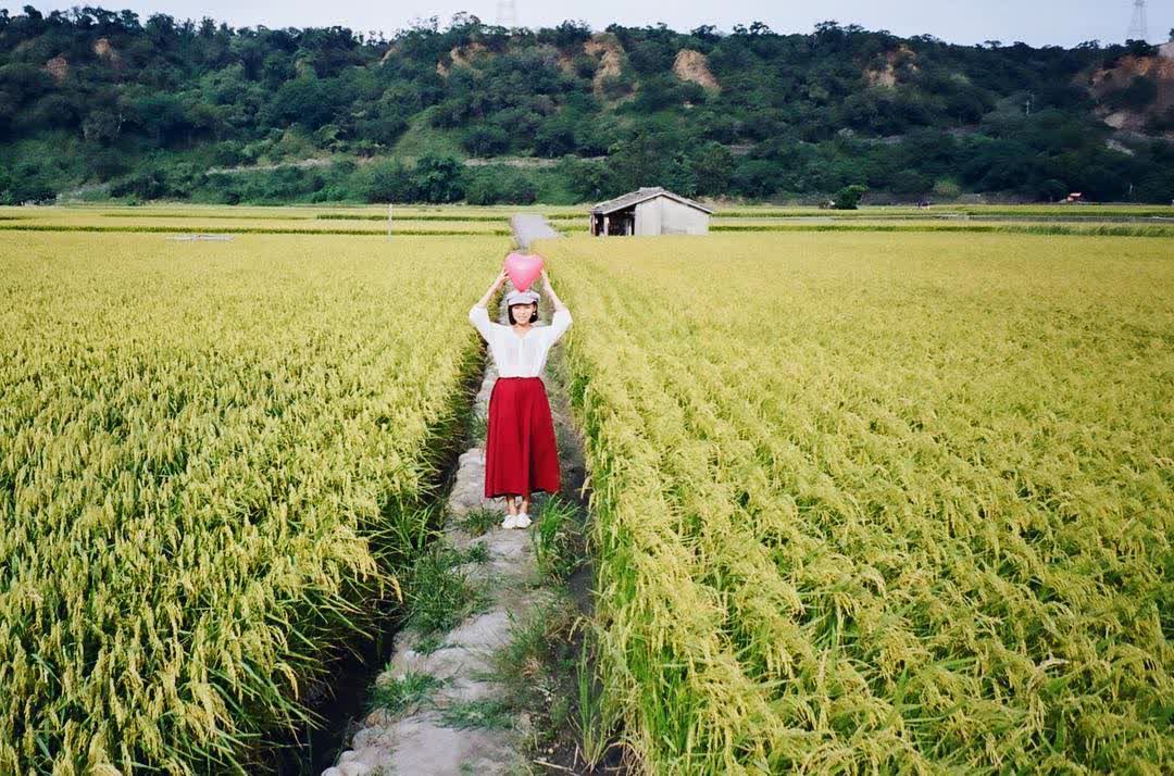 外埔忘憂谷 | 去趣 chicTrip