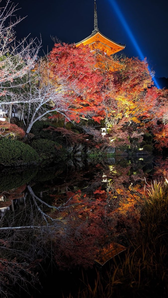 清水寺 | 去趣 chicTrip