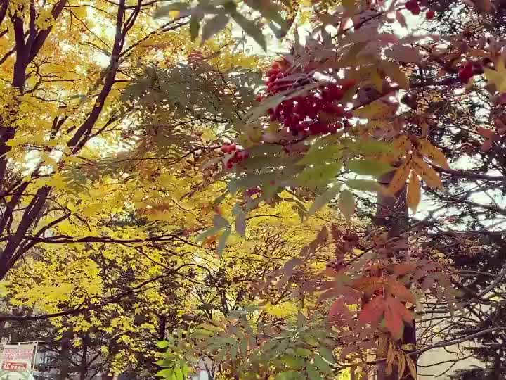 北海道大學 | 去趣 chicTrip