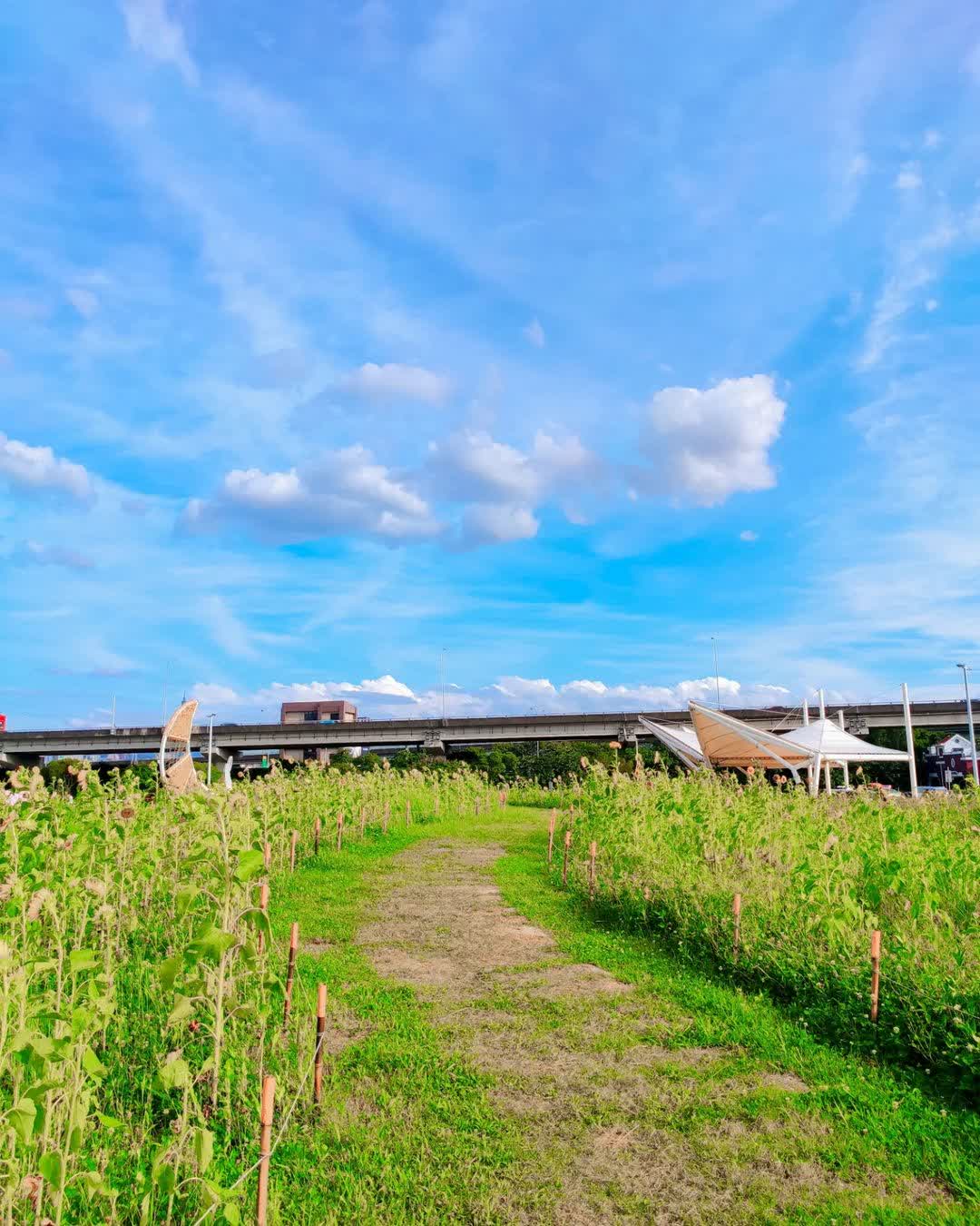 大佳河濱公園 | 去趣 chicTrip