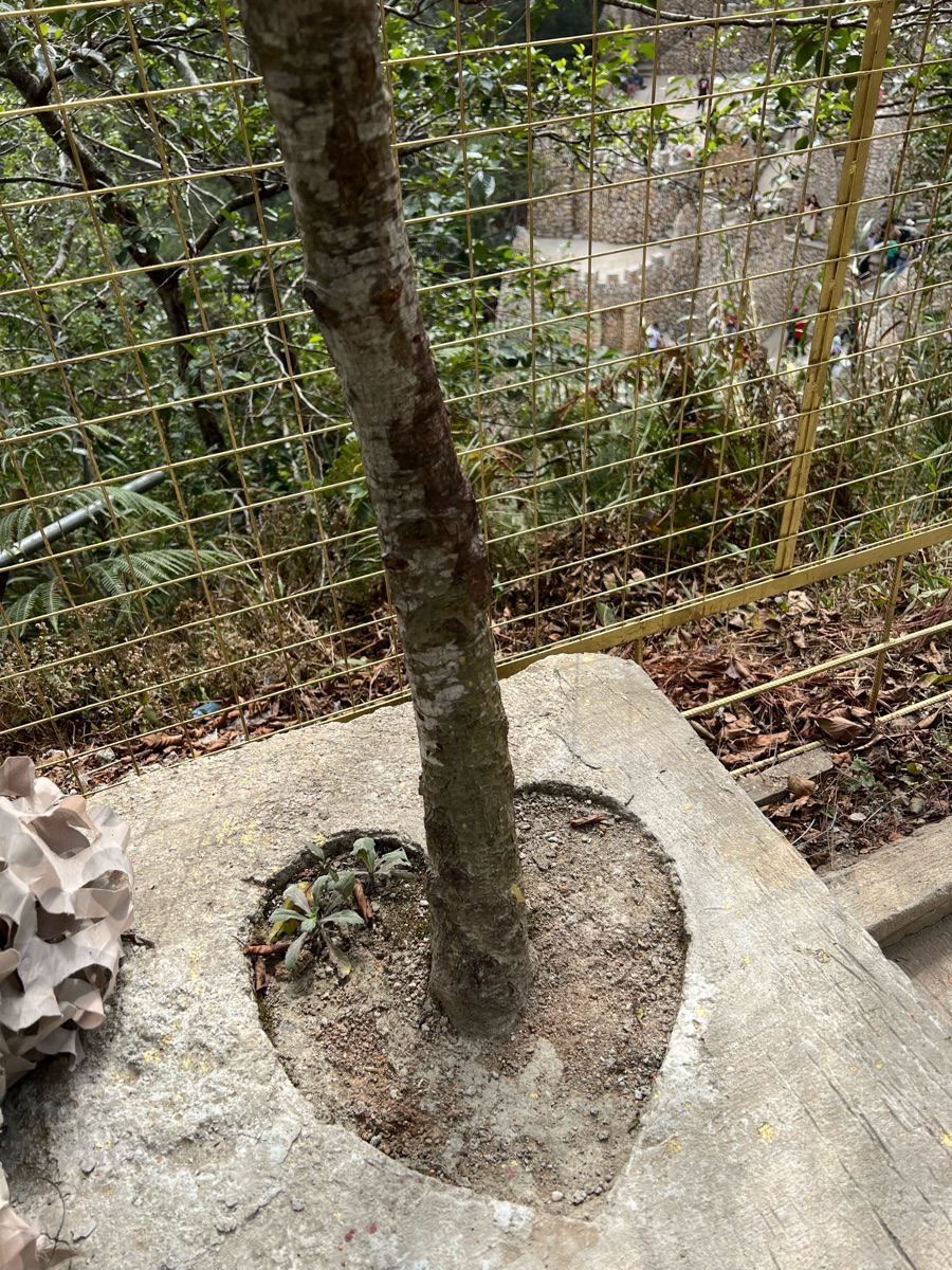 Igorot Stone Kingdom Inc. | 去趣 chicTrip