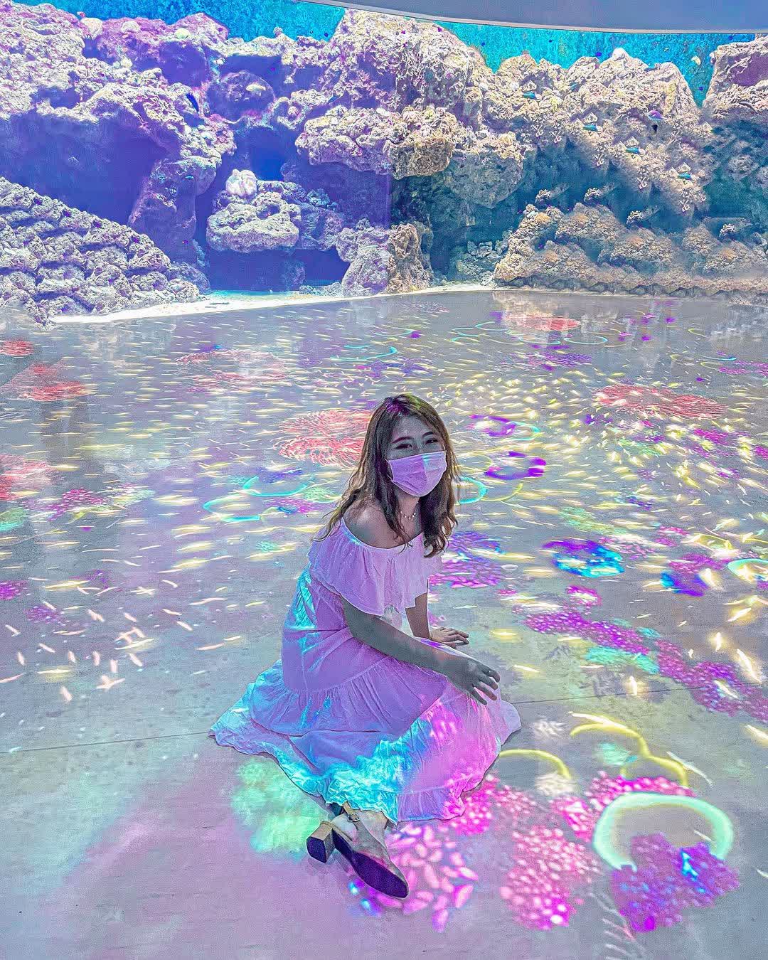 Xpark 水族館 | 去趣 chicTrip