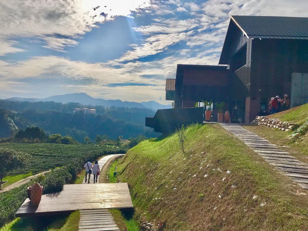 鹿篙咖啡莊園 | 去趣 chicTrip