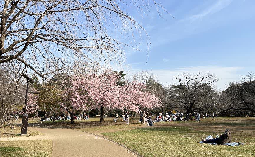 井之頭恩賜公園 | 去趣 chicTrip