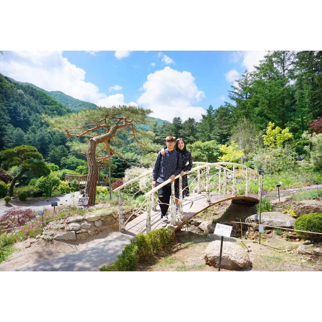 晨靜樹木園 | 去趣 chicTrip